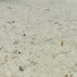 DISCO IN FELTRO MORBIDO