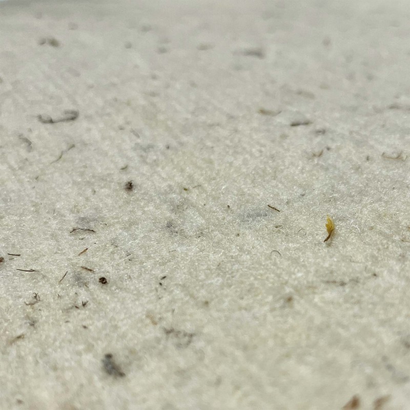 DISCO IN FELTRO MORBIDO