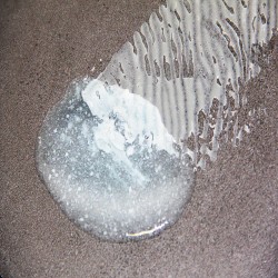 EPOXY REMOVER - SCATOLA